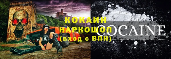 прущие грибы Наволоки