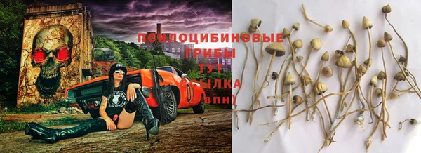спиды Богданович