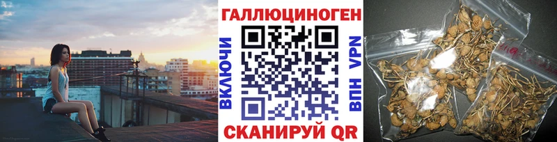Псилоцибиновые грибы Cubensis Уссурийск