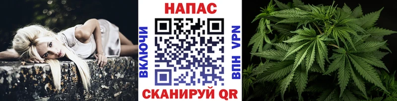 Каннабис White Widow  купить наркотики цена  Уссурийск 